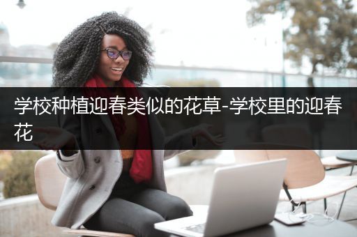 学校种植迎春类似的花草-学校里的迎春花
