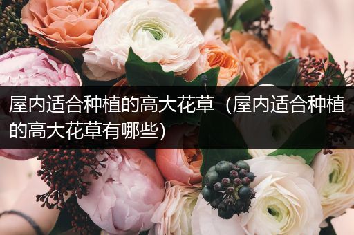 屋内适合种植的高大花草（屋内适合种植的高大花草有哪些）