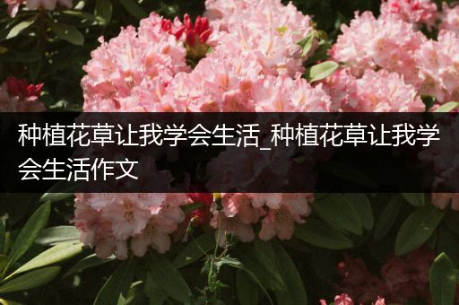 种植花草让我学会生活_种植花草让我学会生活作文