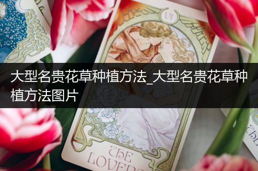 大型名贵花草种植方法_大型名贵花草种植方法图片