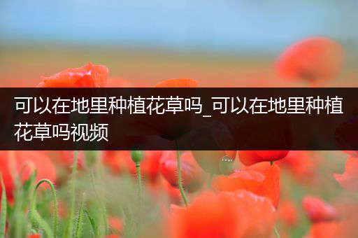 可以在地里种植花草吗_可以在地里种植花草吗视频