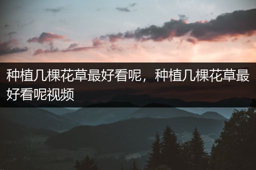 种植几棵花草最好看呢，种植几棵花草最好看呢视频