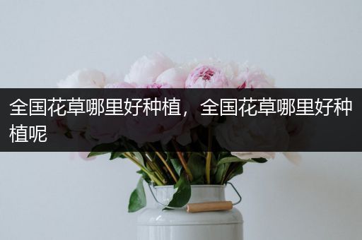 全国花草哪里好种植，全国花草哪里好种植呢