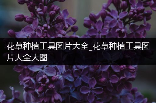 花草种植工具图片大全_花草种植工具图片大全大图