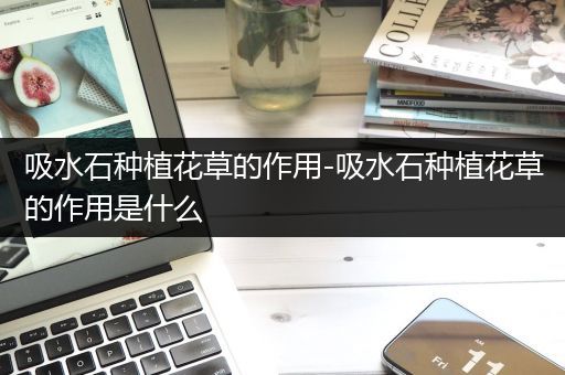 吸水石种植花草的作用-吸水石种植花草的作用是什么