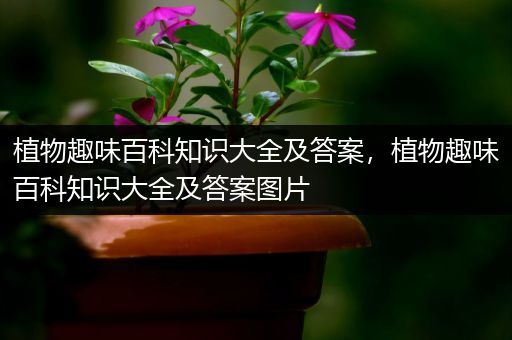 植物趣味百科知识大全及答案，植物趣味百科知识大全及答案图片