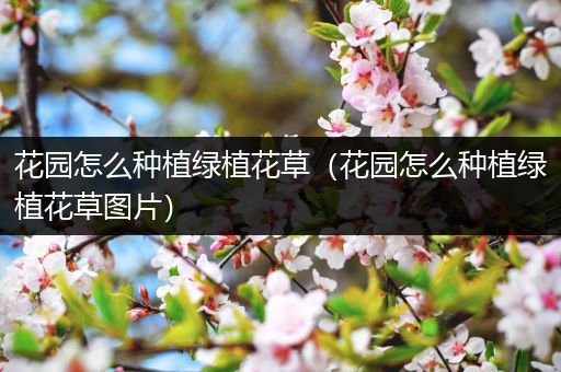 花园怎么种植绿植花草（花园怎么种植绿植花草图片）