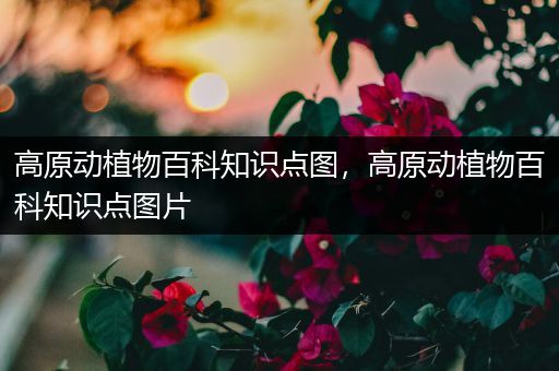 高原动植物百科知识点图，高原动植物百科知识点图片