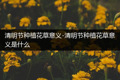 清明节种植花草意义-清明节种植花草意义是什么