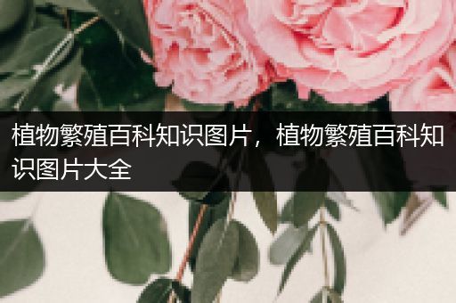 植物繁殖百科知识图片，植物繁殖百科知识图片大全