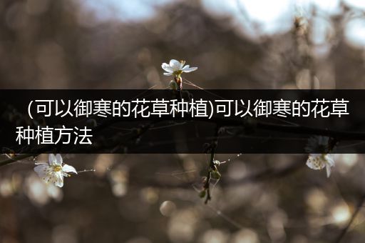 （可以御寒的花草种植)可以御寒的花草种植方法