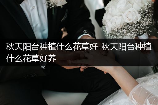 秋天阳台种植什么花草好-秋天阳台种植什么花草好养