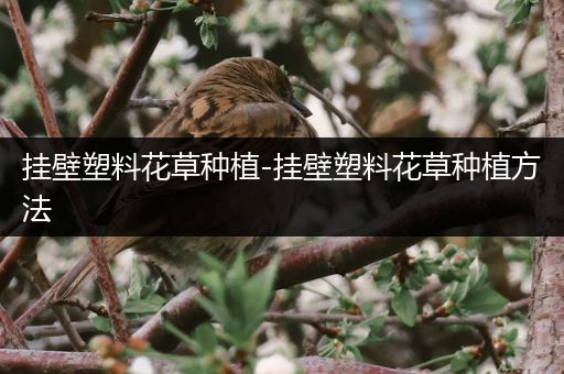 挂壁塑料花草种植-挂壁塑料花草种植方法