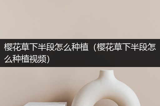 樱花草下半段怎么种植（樱花草下半段怎么种植视频）