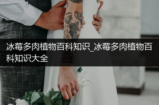 冰莓多肉植物百科知识_冰莓多肉植物百科知识大全