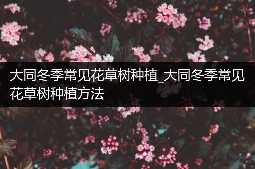 大同冬季常见花草树种植_大同冬季常见花草树种植方法