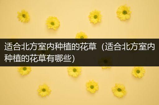 适合北方室内种植的花草（适合北方室内种植的花草有哪些）