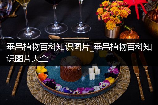 垂吊植物百科知识图片_垂吊植物百科知识图片大全
