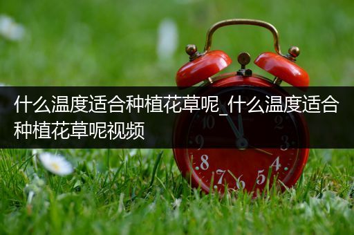什么温度适合种植花草呢_什么温度适合种植花草呢视频
