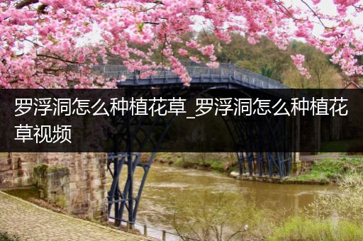 罗浮洞怎么种植花草_罗浮洞怎么种植花草视频