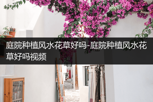 庭院种植风水花草好吗-庭院种植风水花草好吗视频