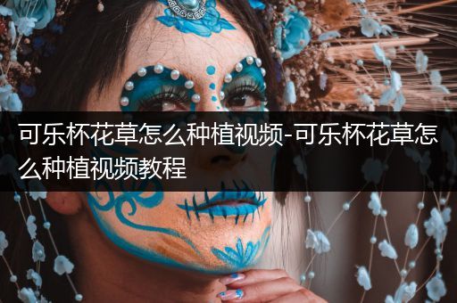 可乐杯花草怎么种植视频-可乐杯花草怎么种植视频教程