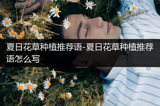 夏日花草种植推荐语-夏日花草种植推荐语怎么写