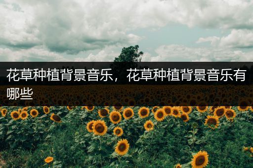 花草种植背景音乐，花草种植背景音乐有哪些