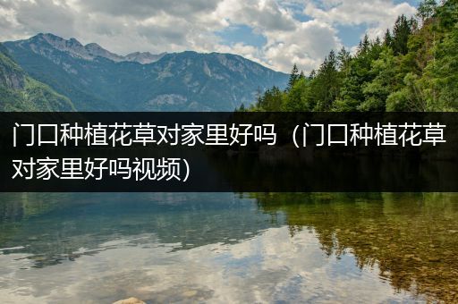 门口种植花草对家里好吗（门口种植花草对家里好吗视频）