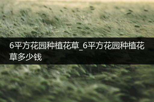 6平方花园种植花草_6平方花园种植花草多少钱