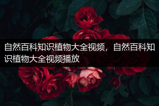 自然百科知识植物大全视频，自然百科知识植物大全视频播放