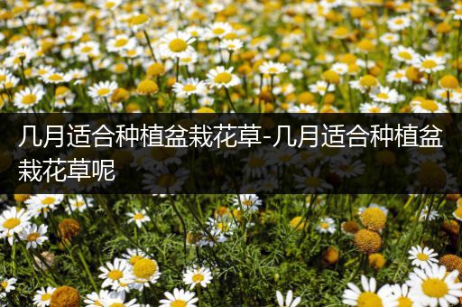 几月适合种植盆栽花草-几月适合种植盆栽花草呢