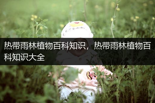 热带雨林植物百科知识，热带雨林植物百科知识大全