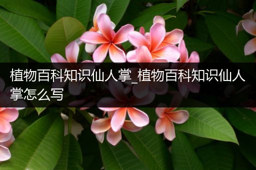 植物百科知识仙人掌_植物百科知识仙人掌怎么写