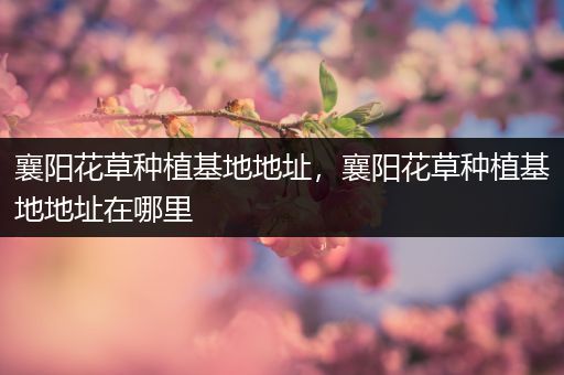 襄阳花草种植基地地址，襄阳花草种植基地地址在哪里