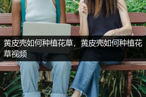 黄皮壳如何种植花草，黄皮壳如何种植花草视频