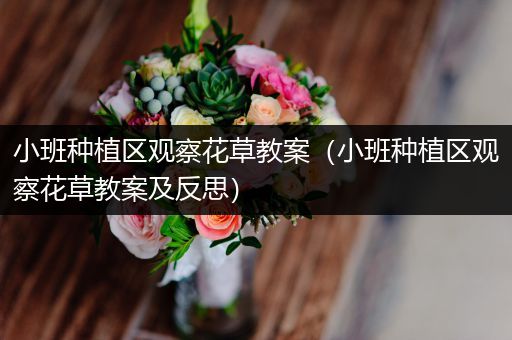 小班种植区观察花草教案（小班种植区观察花草教案及反思）