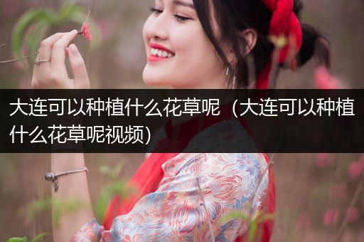 大连可以种植什么花草呢（大连可以种植什么花草呢视频）