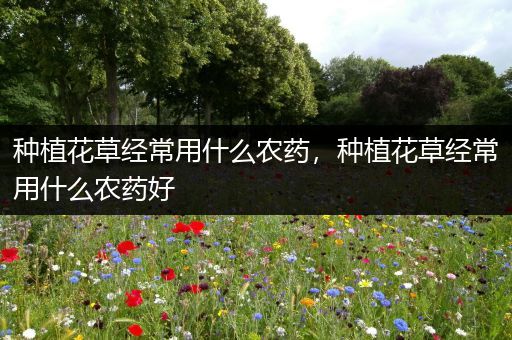 种植花草经常用什么农药，种植花草经常用什么农药好