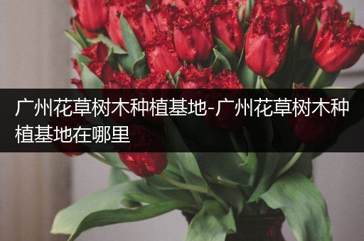 广州花草树木种植基地-广州花草树木种植基地在哪里