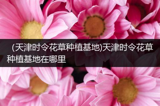 （天津时令花草种植基地)天津时令花草种植基地在哪里