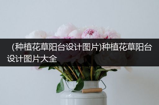 （种植花草阳台设计图片)种植花草阳台设计图片大全