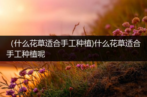 （什么花草适合手工种植)什么花草适合手工种植呢