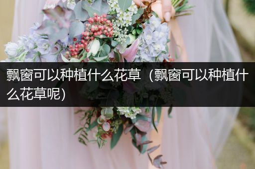 飘窗可以种植什么花草（飘窗可以种植什么花草呢）