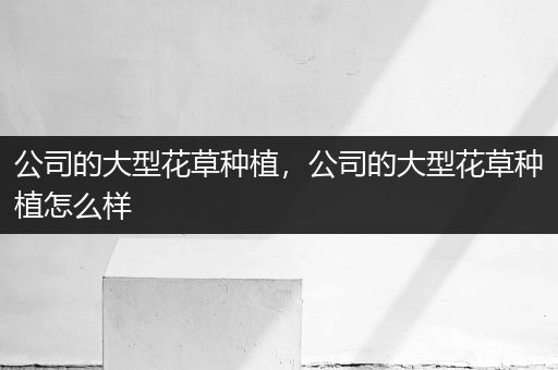 公司的大型花草种植，公司的大型花草种植怎么样