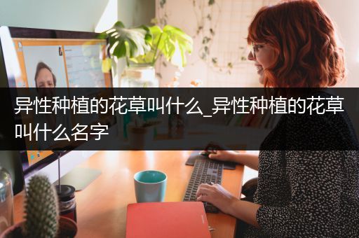 异性种植的花草叫什么_异性种植的花草叫什么名字