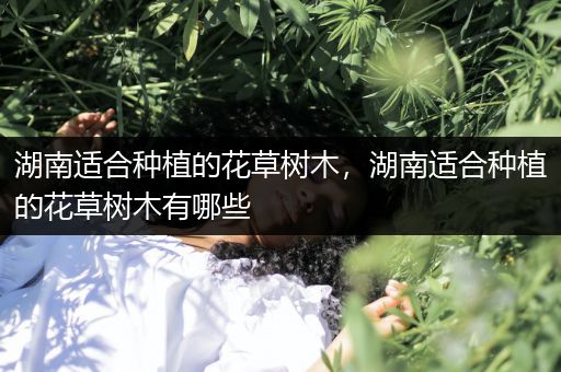 湖南适合种植的花草树木，湖南适合种植的花草树木有哪些