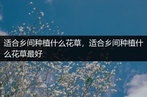适合乡间种植什么花草，适合乡间种植什么花草最好