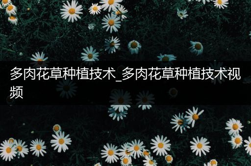 多肉花草种植技术_多肉花草种植技术视频
