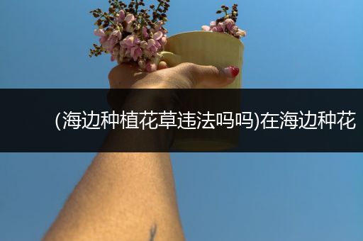 （海边种植花草违法吗吗)在海边种花
